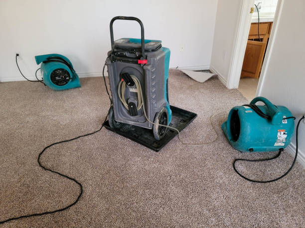 Best Mold removal after water damage  in Fife Heights, WA