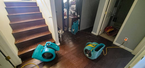 Best Water damage restoration insurance claims  in Fife Heights, WA