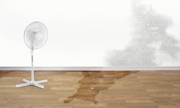 Best Fire Damage Restoration  in Fife Heights, WA