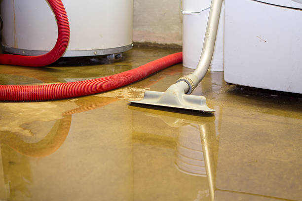 Best Professional water damage repair  in Fife Heights, WA
