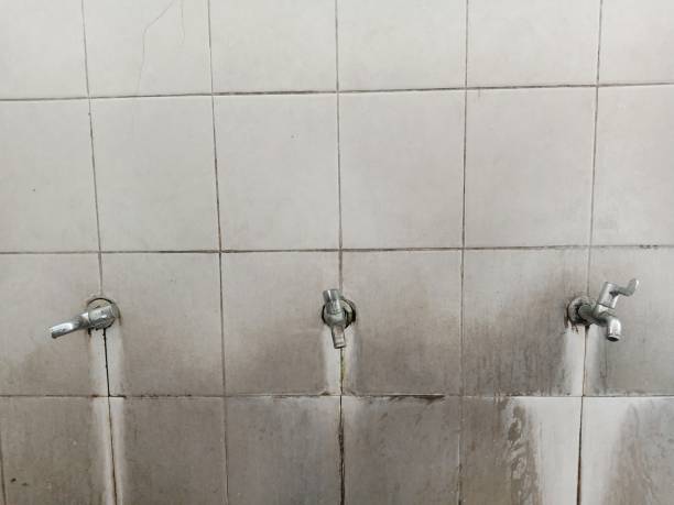Best Residential water damage restoration  in Fife Heights, WA