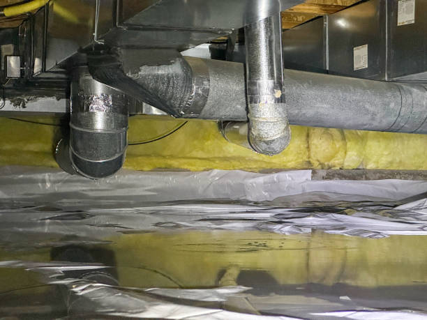 Best Water damage restoration specialists  in Fife Heights, WA