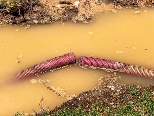 Best Basement water damage restoration  in Fife Heights, WA